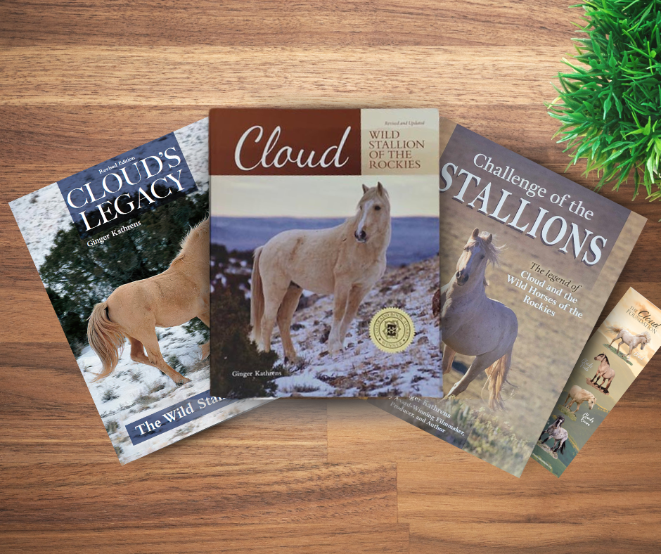 NEW DESIGN! * Cloud: Challenge of the Stallions! — The Cloud